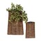 Melrose Garden Decorative Baskets (Set Of 2) 12"H, 18"H Rattan